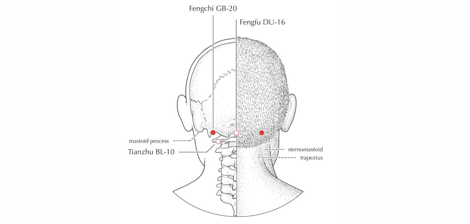 9 essential acupuncture points