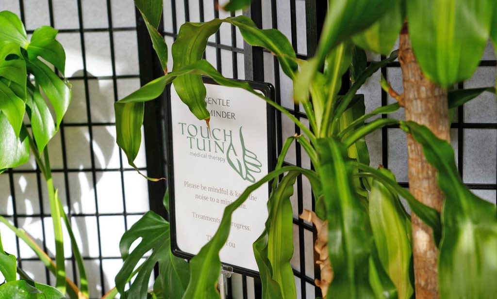 Plants in the reception area at Touch Tuina Catford